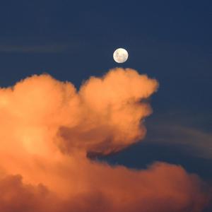 男插女比曲动态图片
