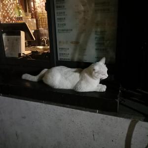 男插女比曲动态图片
